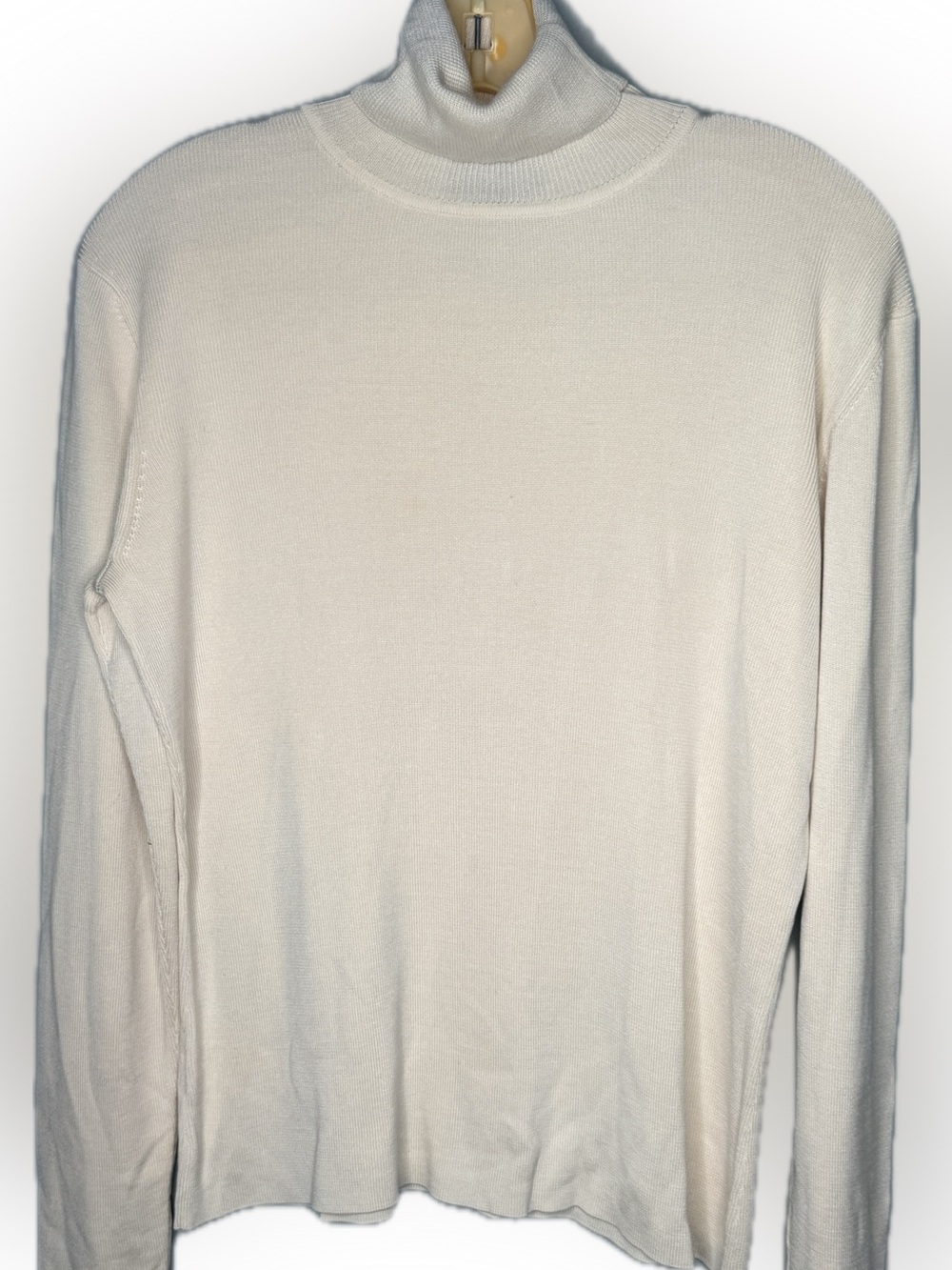 Ann Taylor Silk Turtleneck Sweater